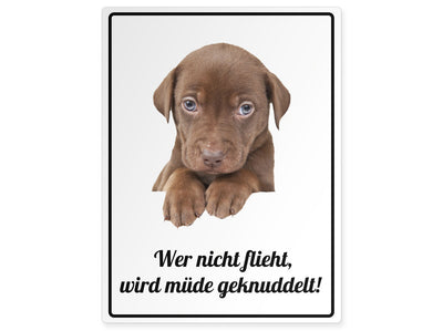 tierschild-hoch-wer-nicht-flieht-wird-muede-geknuddelt